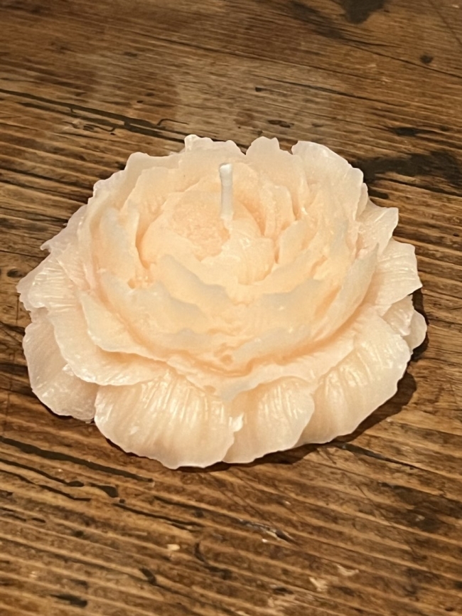 Bougie Vanille gourmande